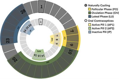 Event-Related Potentials in Women on the Pill: Neural Correlates of Positive and Erotic Stimulus Processing in Oral Contraceptive Users